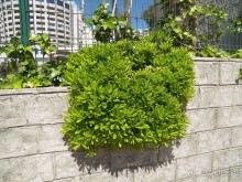 Побег от московской зимы в Валенсию