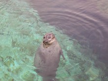 Побег от московской зимы в Валенсию