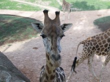 Побег от московской зимы в Валенсию