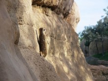 Побег от московской зимы в Валенсию