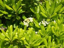 Побег от московской зимы в Валенсию