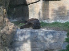 Побег от московской зимы в Валенсию