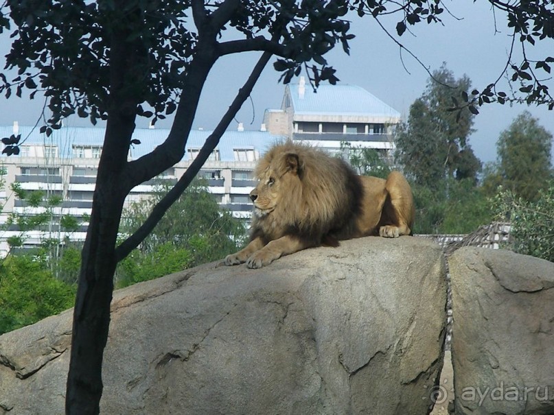 Побег от московской зимы в Валенсию