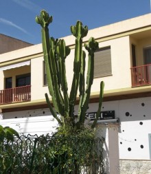 Побег от московской зимы в Валенсию