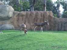 Побег от московской зимы в Валенсию