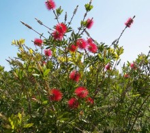 Побег от московской зимы в Валенсию