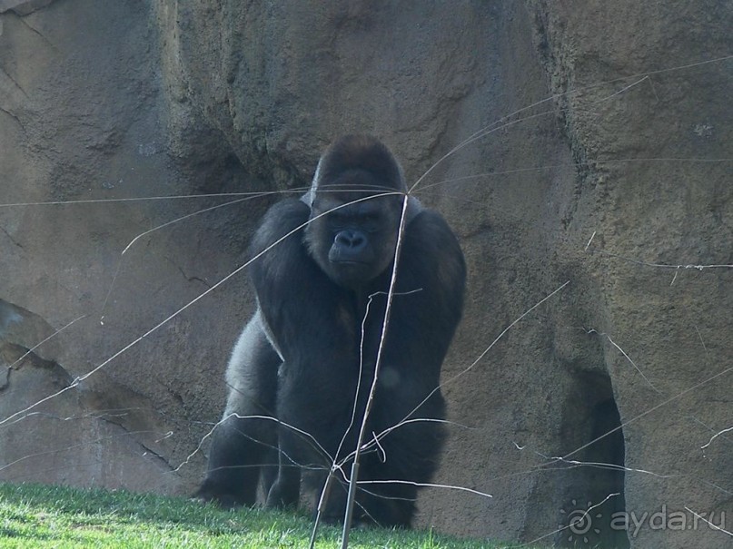 Побег от московской зимы в Валенсию