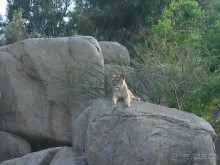 Побег от московской зимы в Валенсию