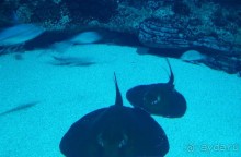 Побег от московской зимы в Валенсию