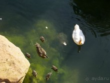 Побег от московской зимы в Валенсию