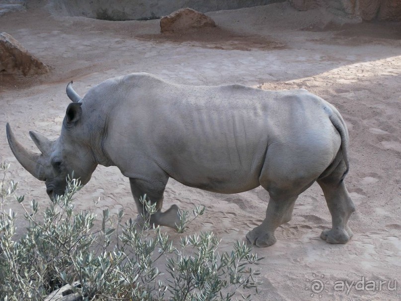 Побег от московской зимы в Валенсию