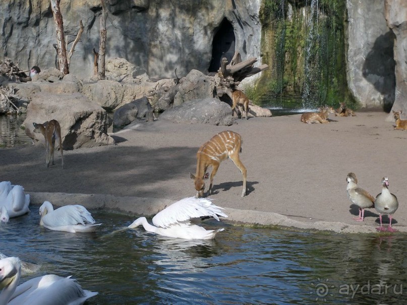 Побег от московской зимы в Валенсию