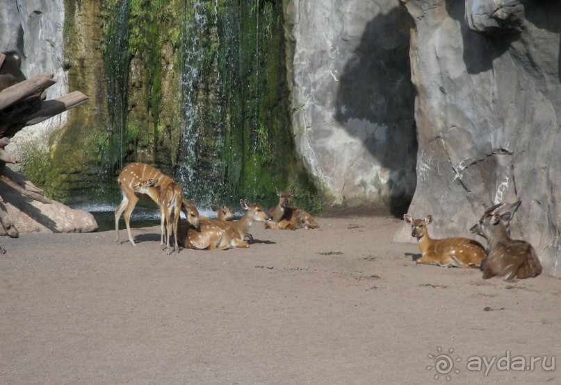 Побег от московской зимы в Валенсию