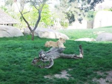 Побег от московской зимы в Валенсию