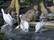 Побег от московской зимы в Валенсию