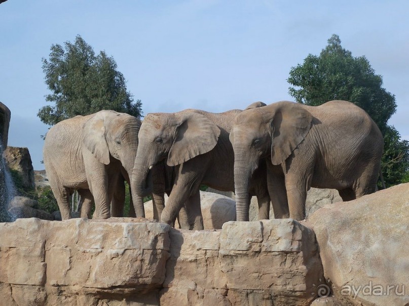 Побег от московской зимы в Валенсию