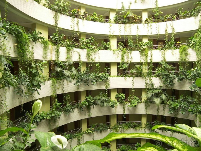 Побег от московской зимы в Валенсию