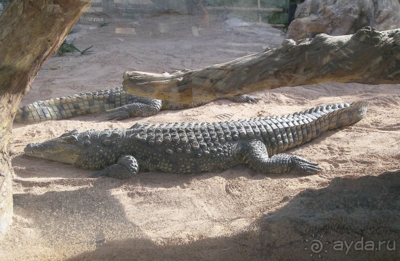 Побег от московской зимы в Валенсию