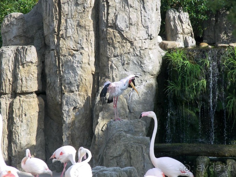 Побег от московской зимы в Валенсию