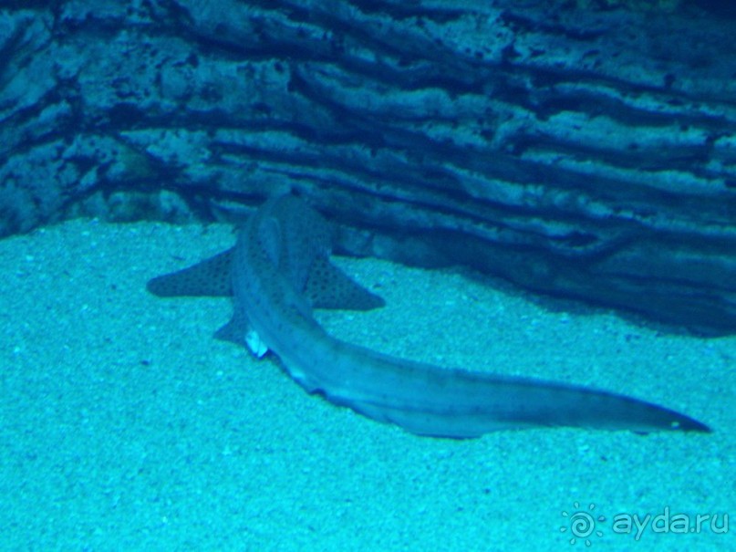 Побег от московской зимы в Валенсию