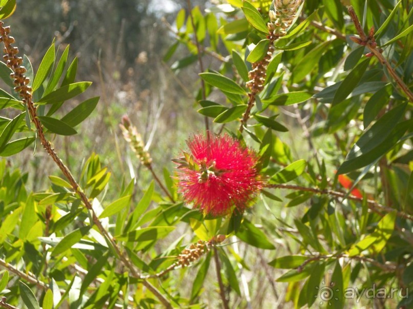 Побег от московской зимы в Валенсию