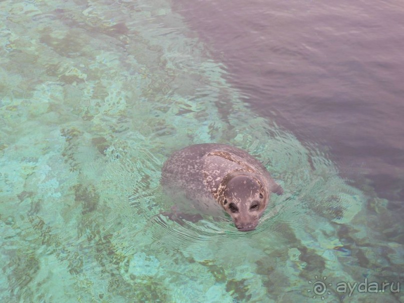 Побег от московской зимы в Валенсию