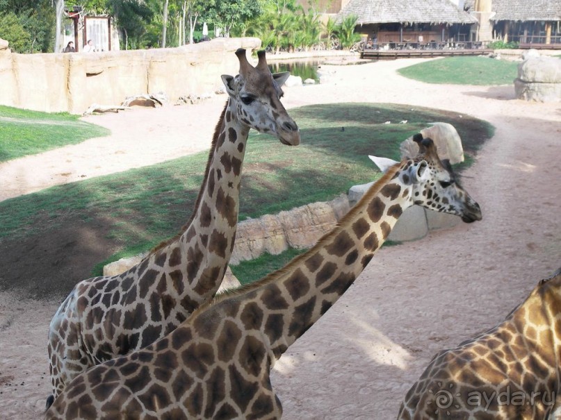 Побег от московской зимы в Валенсию
