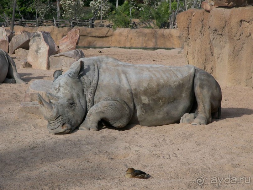 Побег от московской зимы в Валенсию