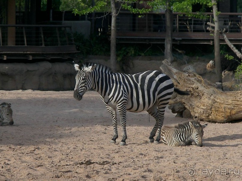 Побег от московской зимы в Валенсию