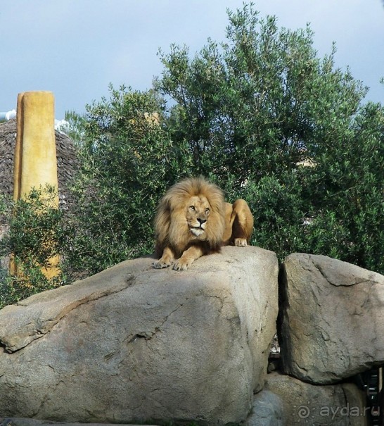 Побег от московской зимы в Валенсию
