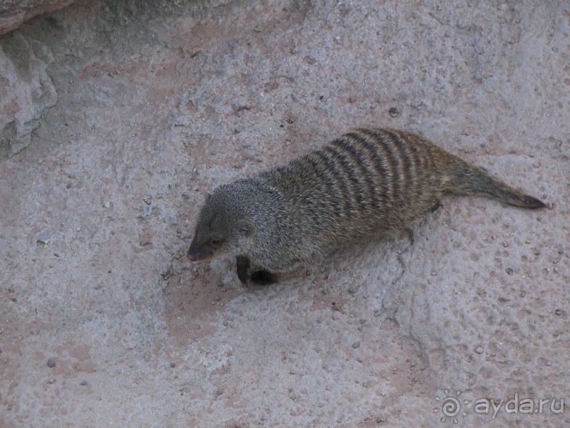 Побег от московской зимы в Валенсию
