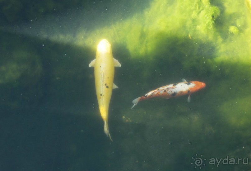 Побег от московской зимы в Валенсию