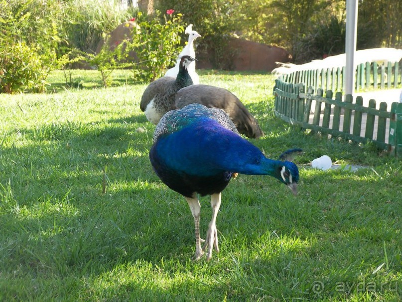 Побег от московской зимы в Валенсию