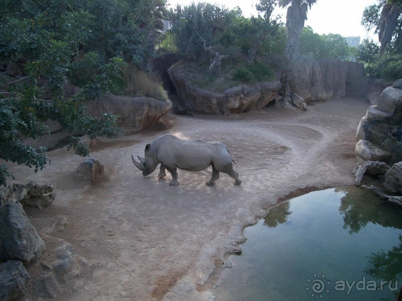 Побег от московской зимы в Валенсию