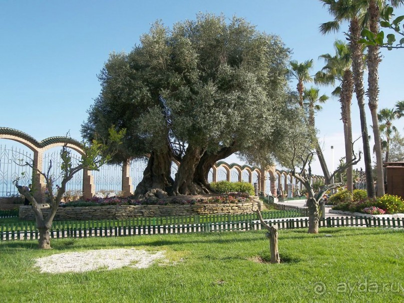 Побег от московской зимы в Валенсию