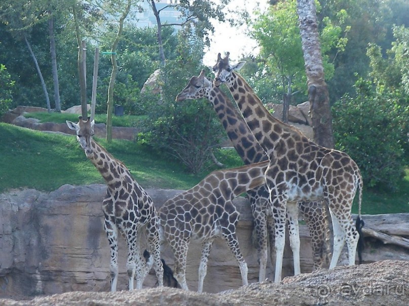 Побег от московской зимы в Валенсию