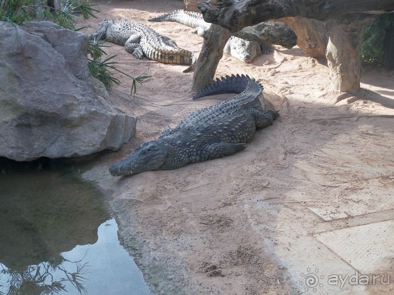 Побег от московской зимы в Валенсию