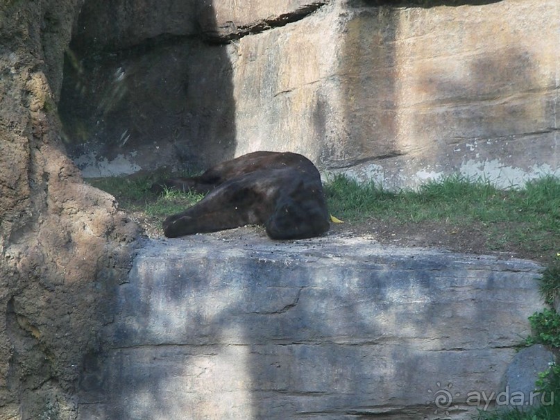 Побег от московской зимы в Валенсию