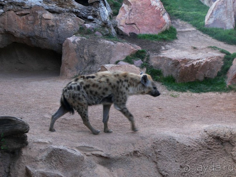Побег от московской зимы в Валенсию