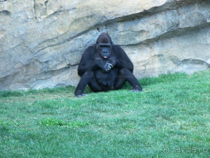 Побег от московской зимы в Валенсию