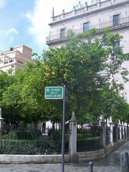 Побег от московской зимы в Валенсию