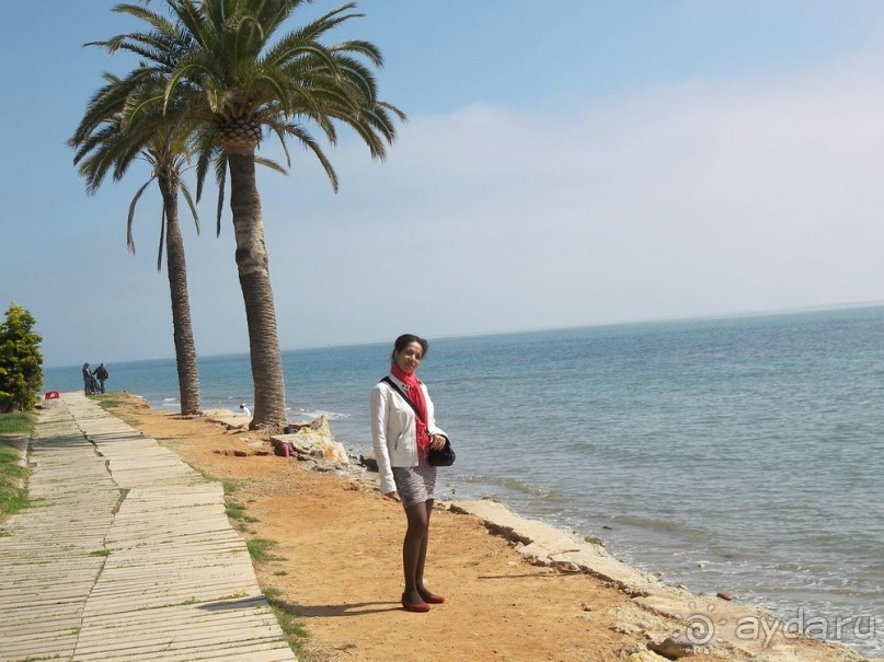 Побег от московской зимы в Валенсию