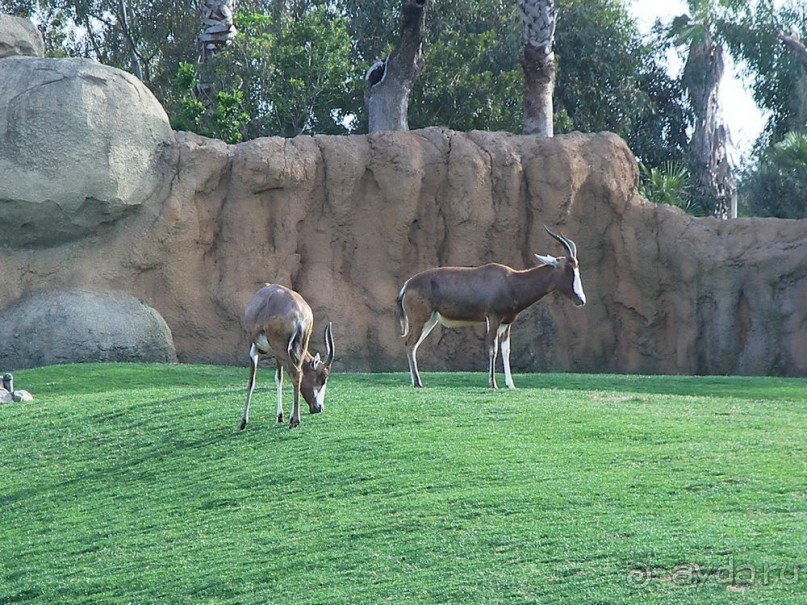 Побег от московской зимы в Валенсию