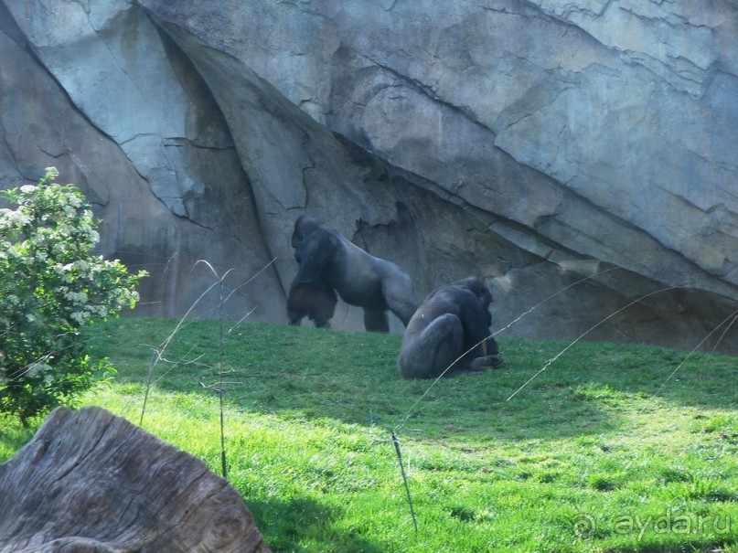 Побег от московской зимы в Валенсию