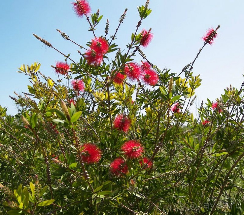 Побег от московской зимы в Валенсию