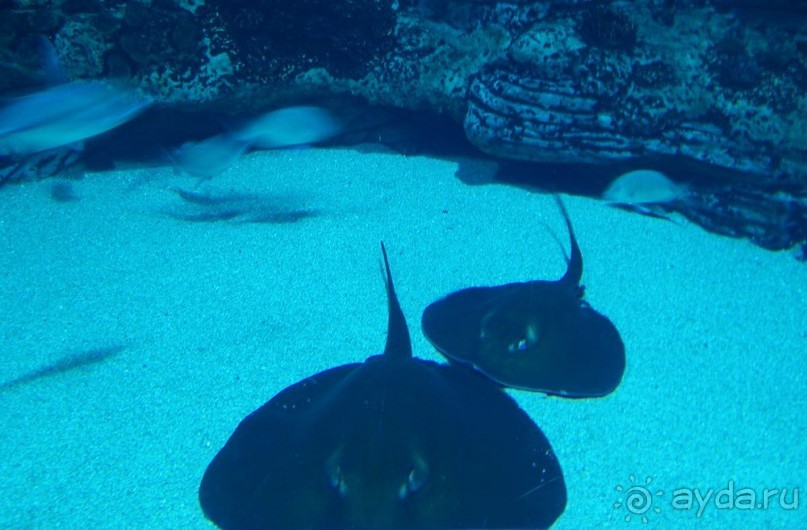 Побег от московской зимы в Валенсию