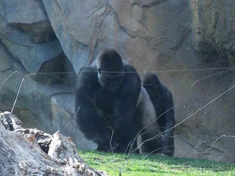 Побег от московской зимы в Валенсию