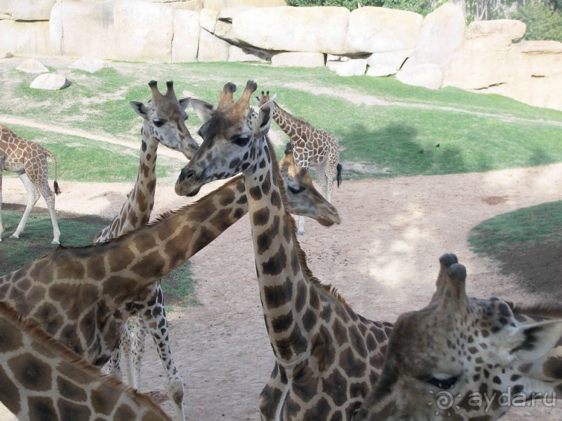 Побег от московской зимы в Валенсию