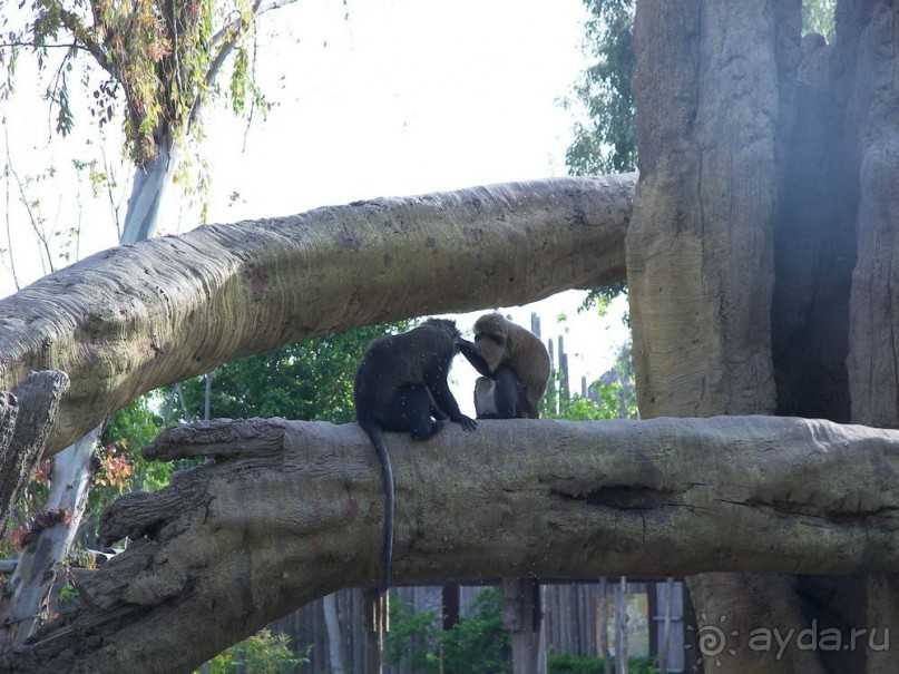 Побег от московской зимы в Валенсию