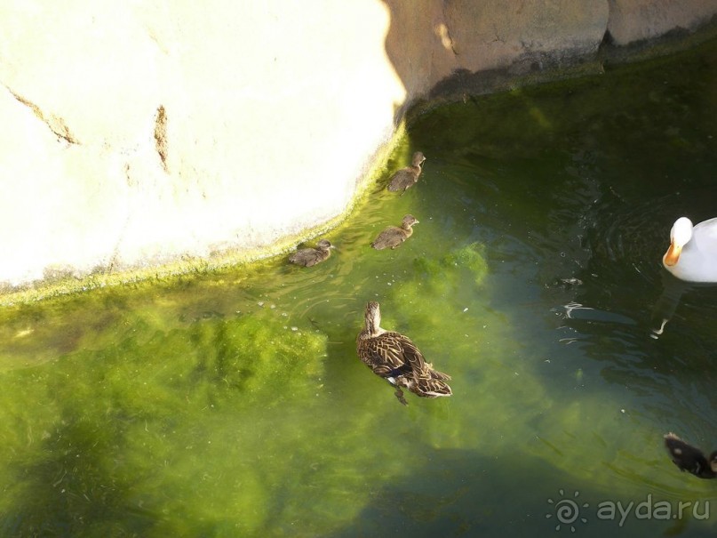 Побег от московской зимы в Валенсию